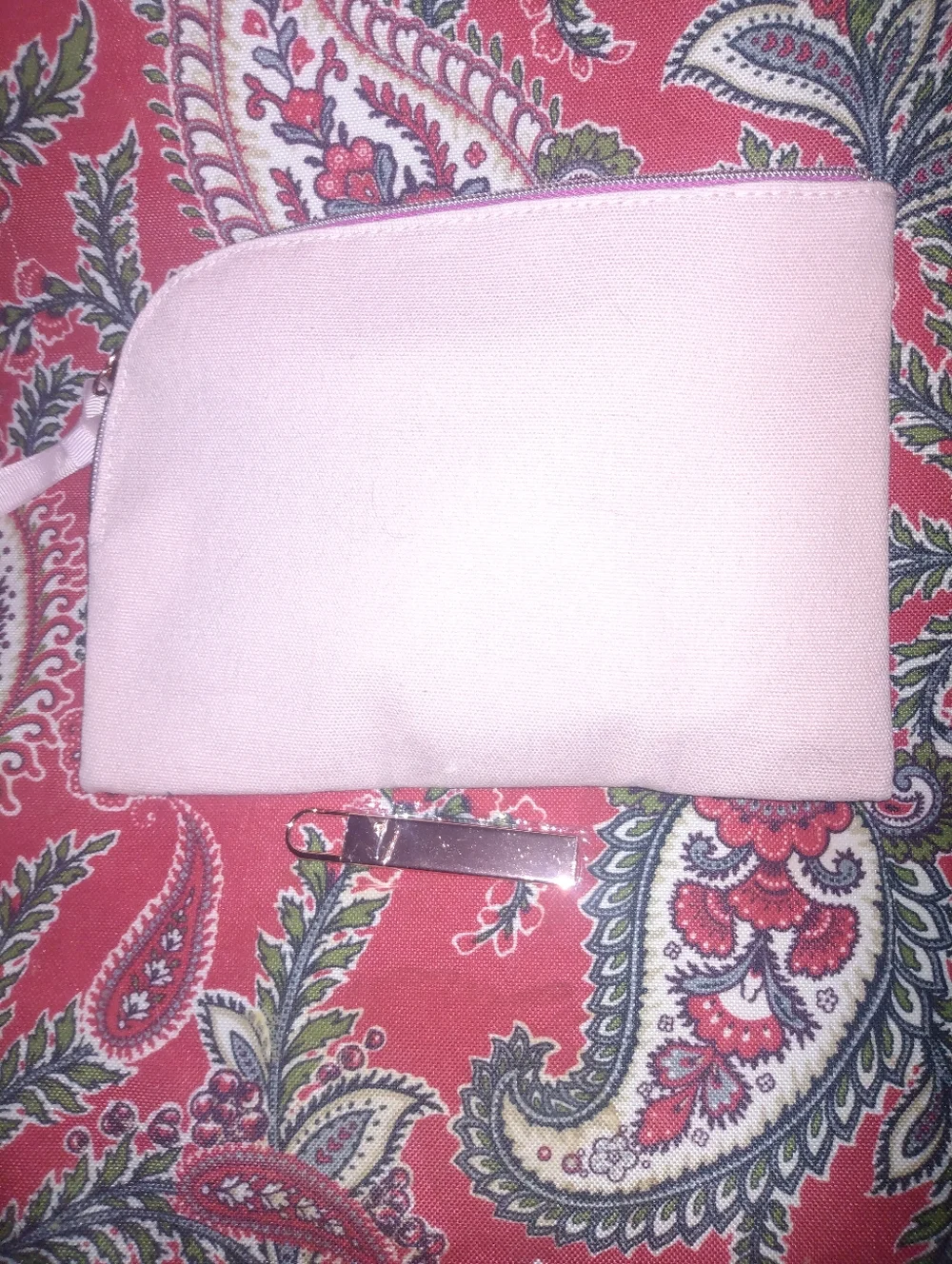 Ipsy Pink Cosmetic Pouch - Women's Makeup Bag